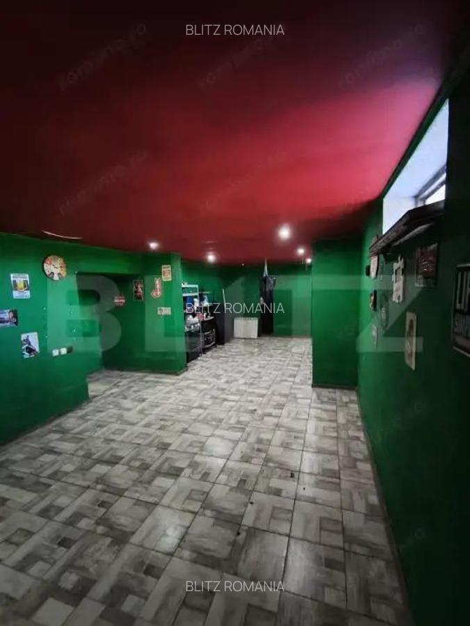 Casa moderna pe un singur nivel + beci finisata si mobilata in Nojorid - 18