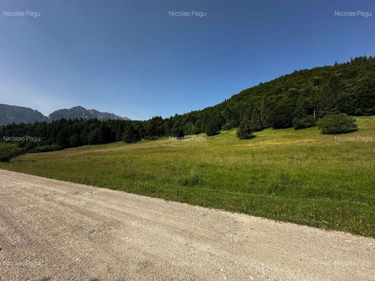 2 Loturi aprox.2200mp 25EUR/(total 6696mp) Barsa Fierului / Plaiul Foii - 8