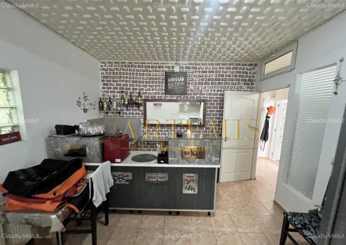 Spatiu comercial, Zona Independentei - 3
