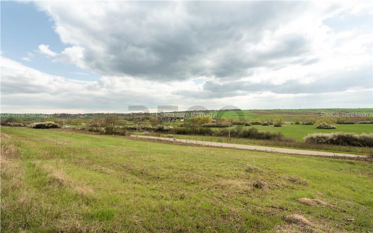 Teren intravilan Cetariu - 9