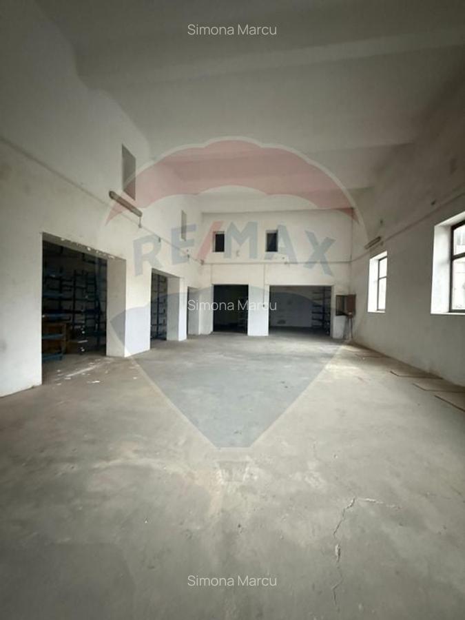 Hala - zona KAUFLAND Burdujeni - 6