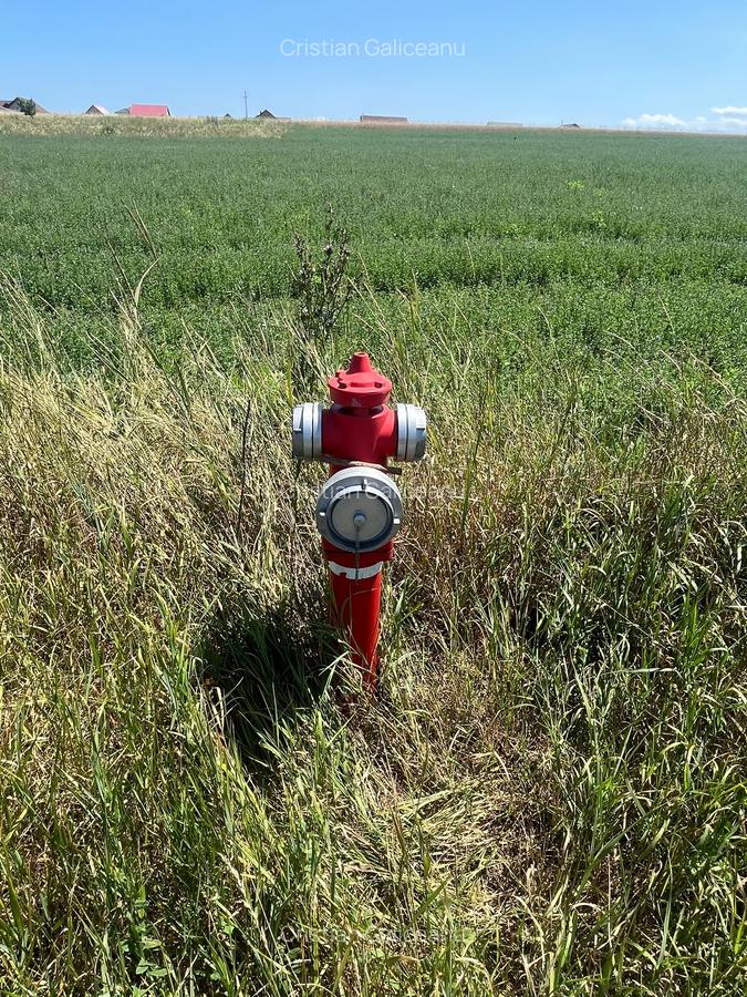 De vânzare teren extravilan – Calea Feldioarei, 10.000 mp - 7