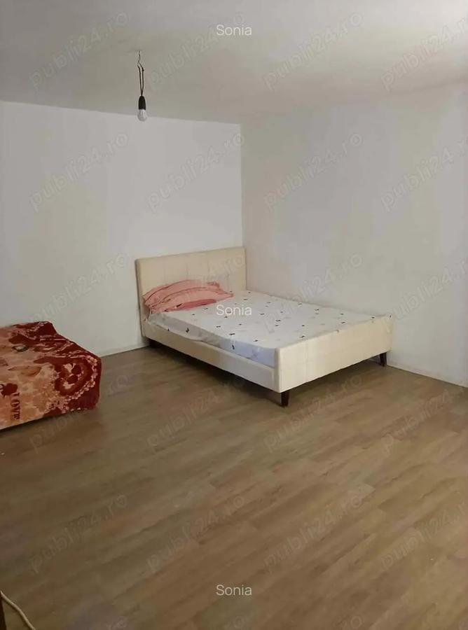 Casa de Vanzare-Stefanesti - 7