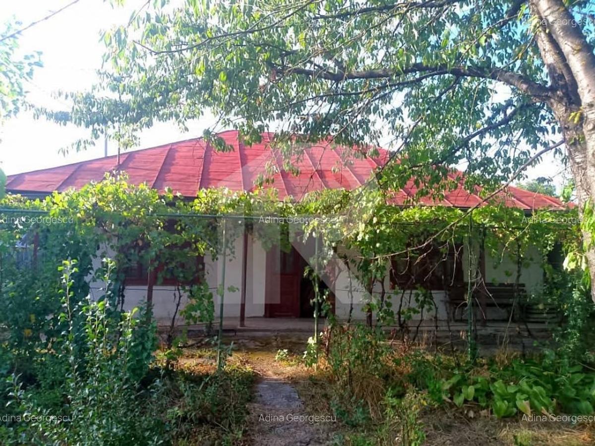 Exclusivitate_Lipia (Gruiu IF)- Casuta Bunicii - 1