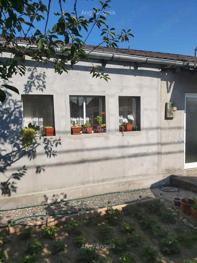 Casa pe pamant de vanzare Valu Traian - 5
