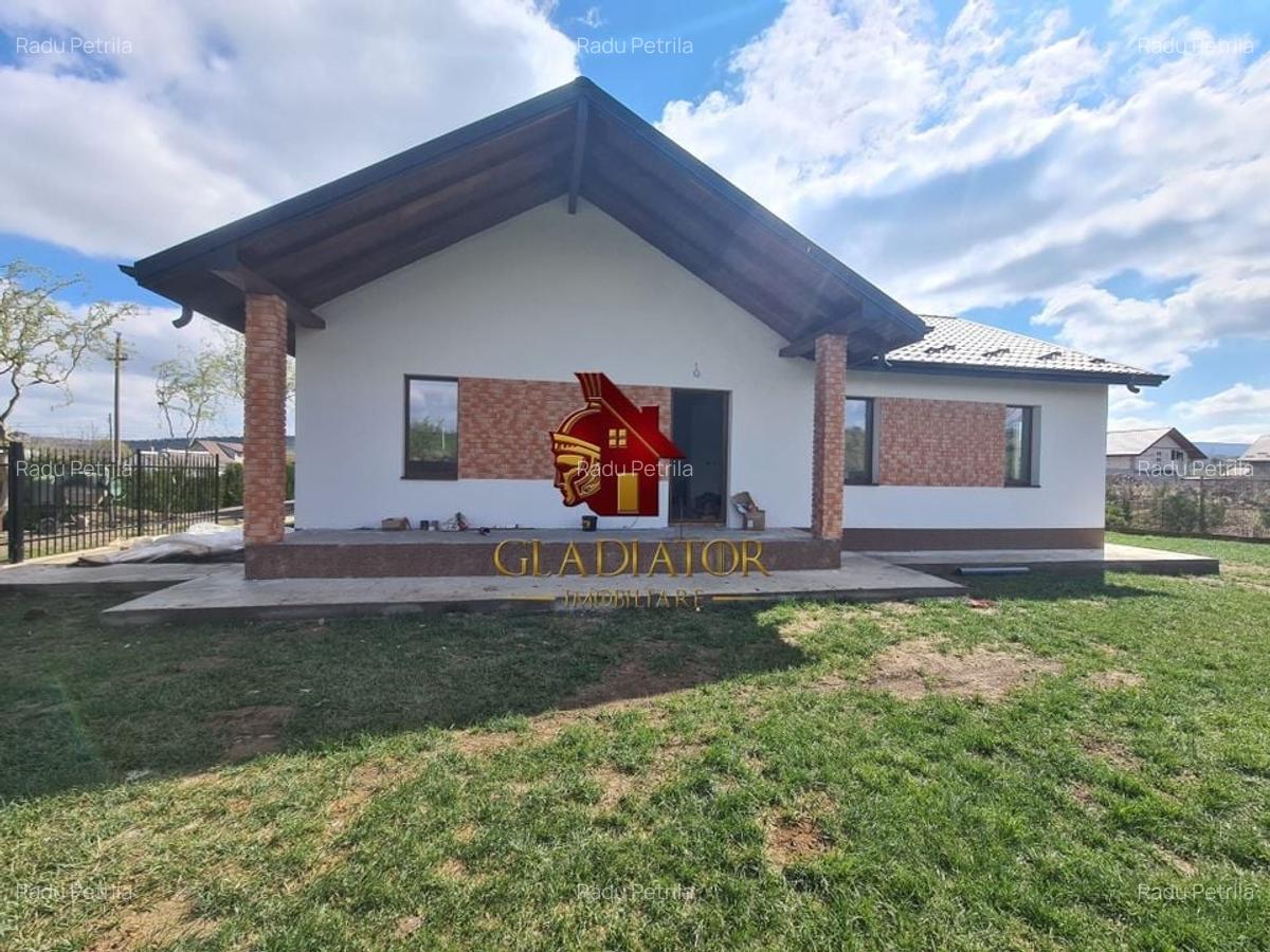 Casa plan parter deosebita, Lunca Cetatuii Ciurea, la asfalt, zona vis - 1