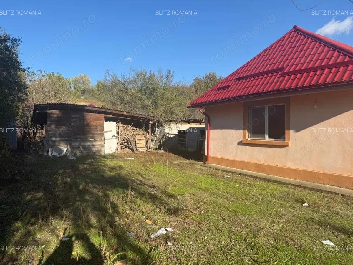 Casa 133 mp utili, 3300 mp teren, Ciutura - 17