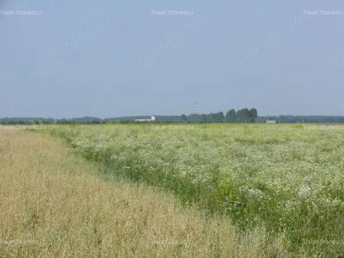 Teren 70 000 mp pretabil FOTOVOLTAIC de vanzare in Titu, jud Dambovita, negociabil - 4 Teren 70 000 mp pretabil FOTOVOLTAIC de vanzare in Titu, jud Dambovita, negociabil - 4