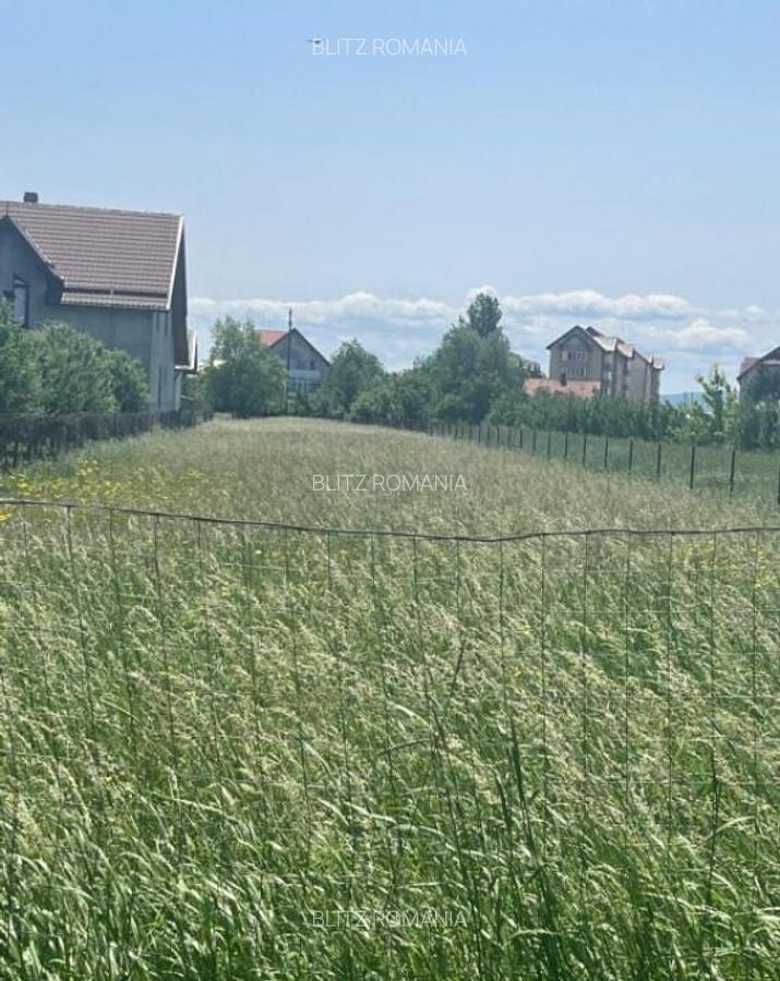 Teren intravilan ,2000 mp,Radauti - 5