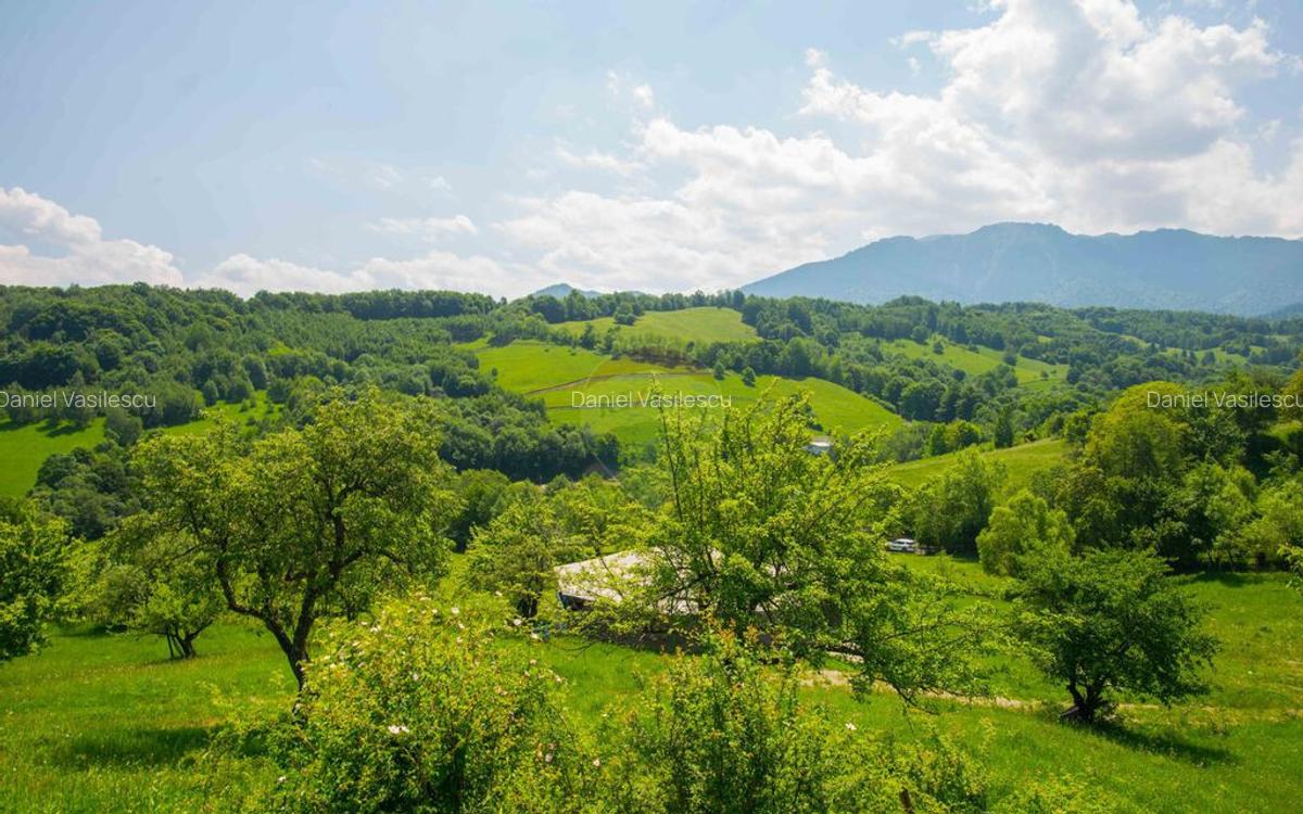 Teren cu utilitati, 5,495mp Bran - Strada Muchia hotarului - 17