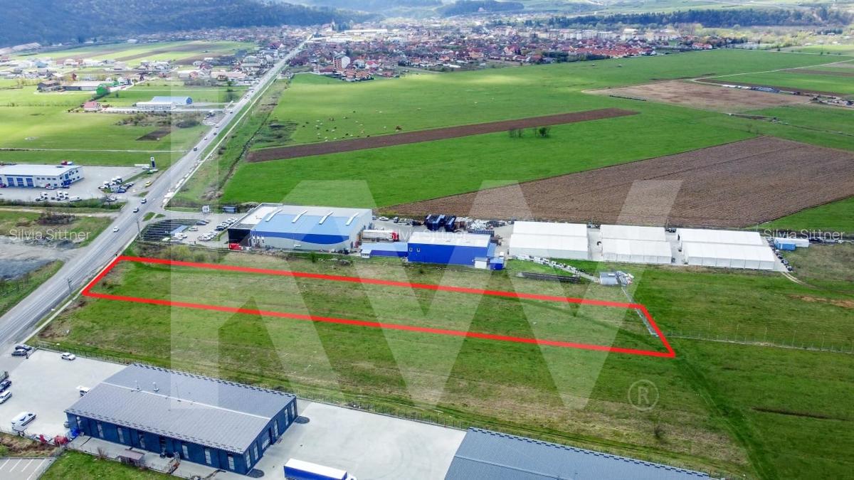 Oportunitate de Investitie sau Constructie Hala – Teren 3.900 mp | Talmaciu - 2