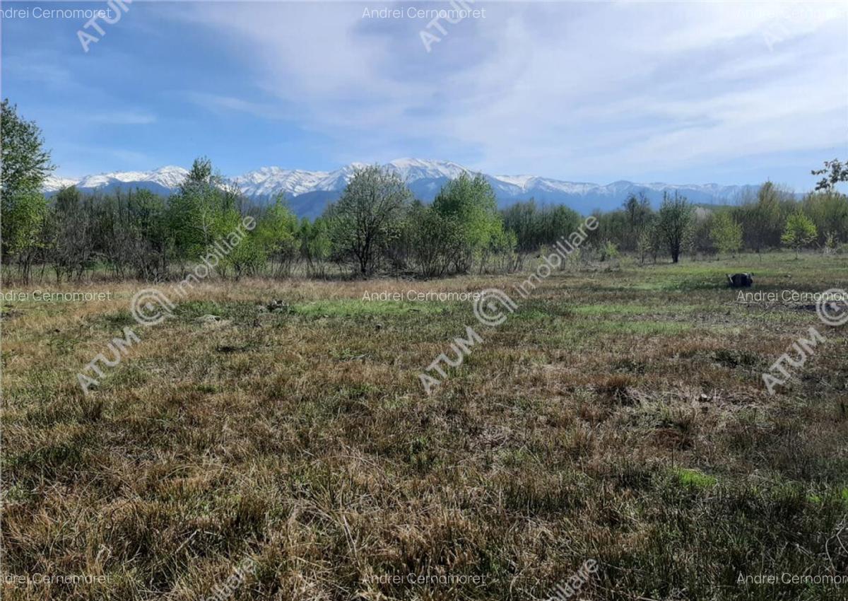 Teren intravilan 2700 mp pe Valea Avrigului localitate Avrig - 8