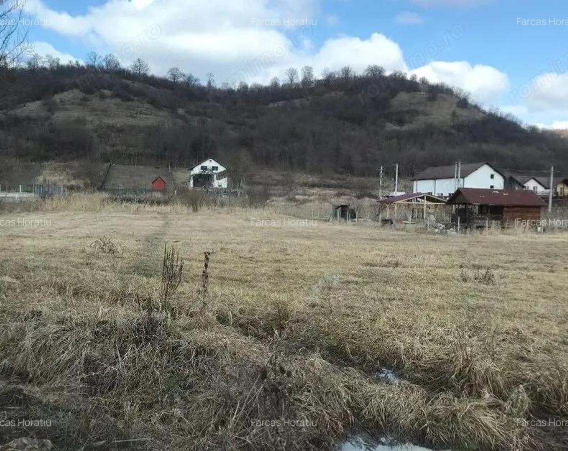 Livezeni - Teren intravilan - 1