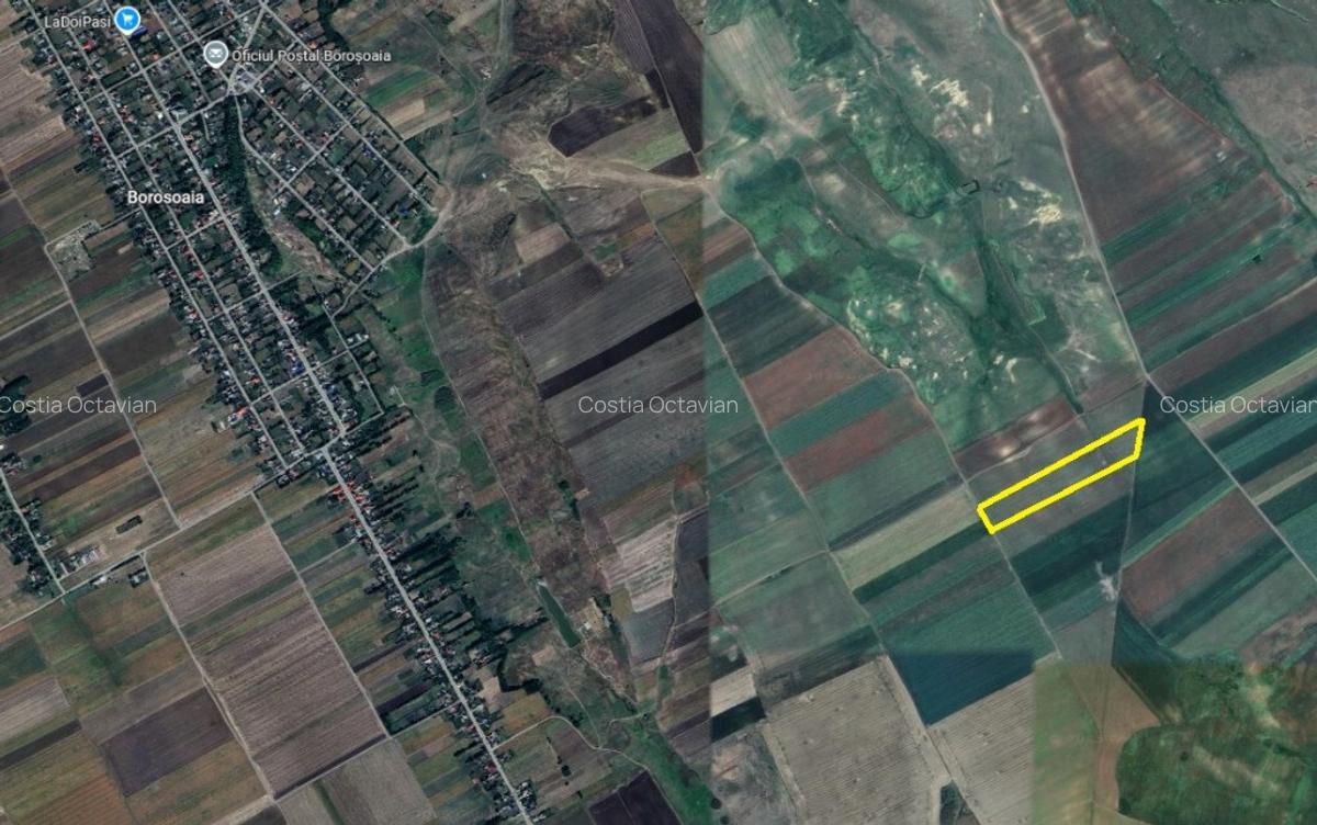 Persoana fizica - teren extravilan agricol Sipote, Jud. Iasi, 46500 mp - 3