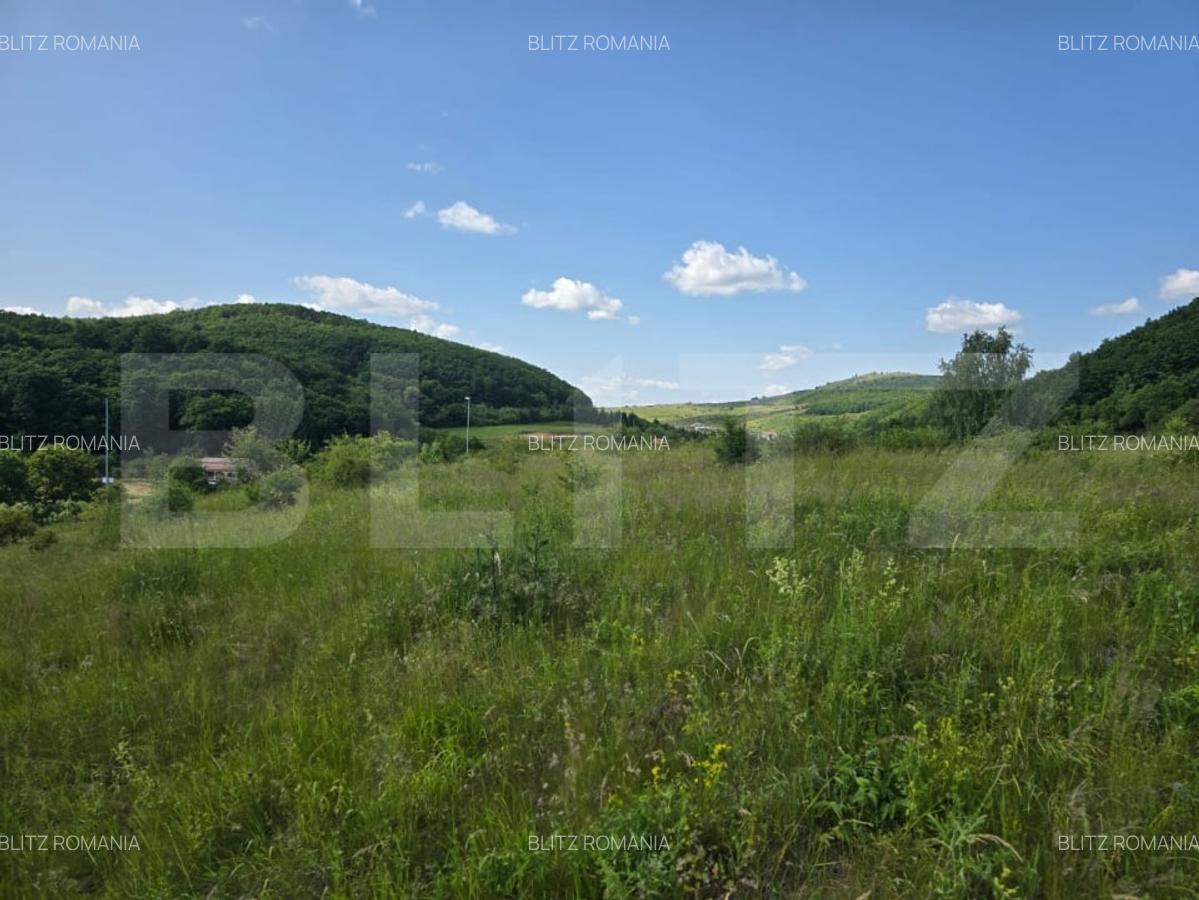 Teren potrivit pentru investitie in zona complexului Domeniul Regilor. - 5