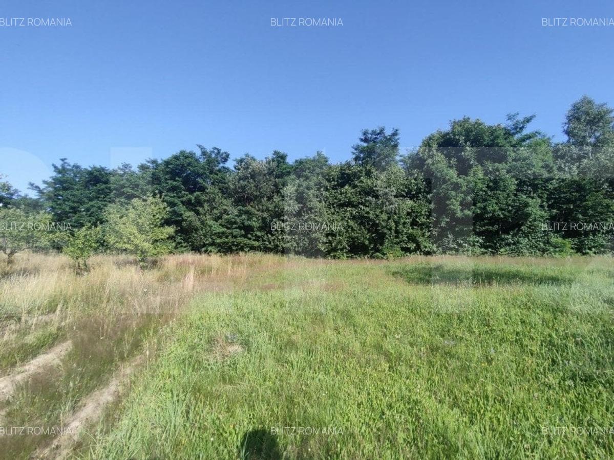 Teren, 700 mp pentru cabanute , toate utilitatile in  Feleacu - 2
