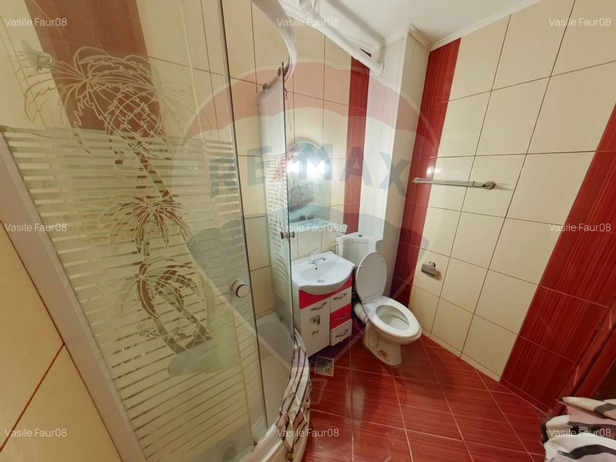 Apartament cu 2 camere de vanzare pe str. Traian - 5