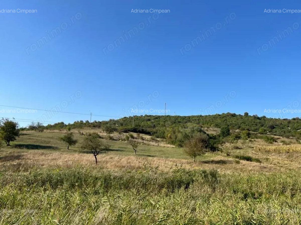 Teren de vanzare 11.400 mp, str. Podgorenilor, Dej - 1
