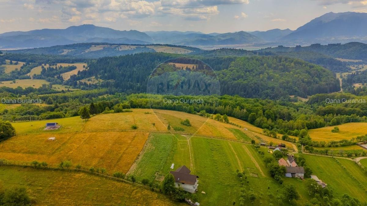 Teren Construcții intravilan de 11600 mp, în Poiana Mărului - 7