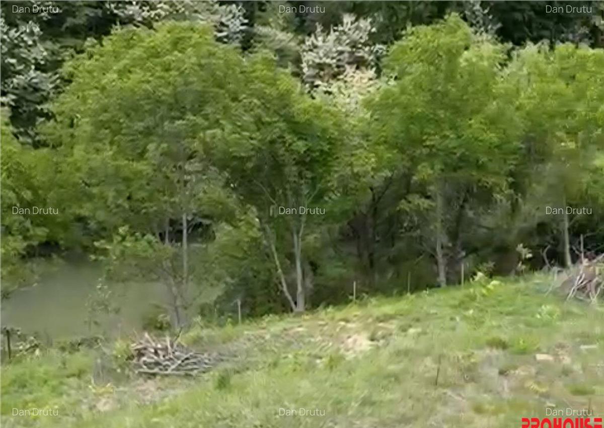 Valea Budului - Teren intravilan. Lac. Padure - 2