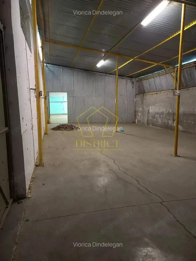 Spatiu Comercial tip Hala I Zona Lipovei - 12