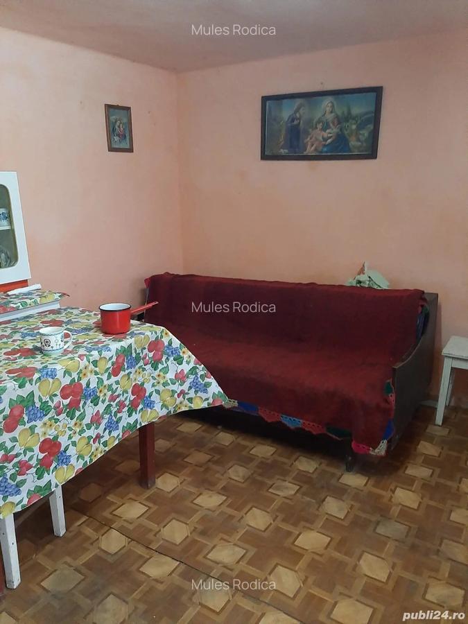Casa de vanzare - 5