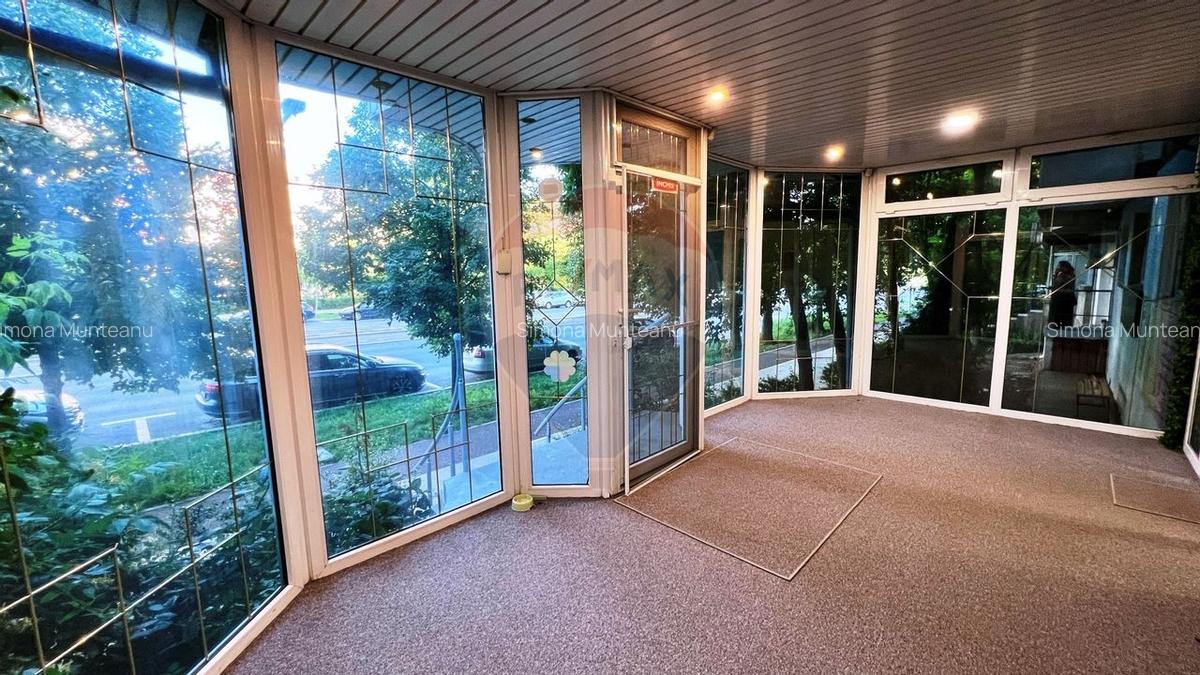 Spațiu comercial, 50 mp în Siderurgiștilor - 3