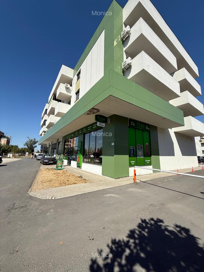 Apartament Pallady Gura Putinei - 47