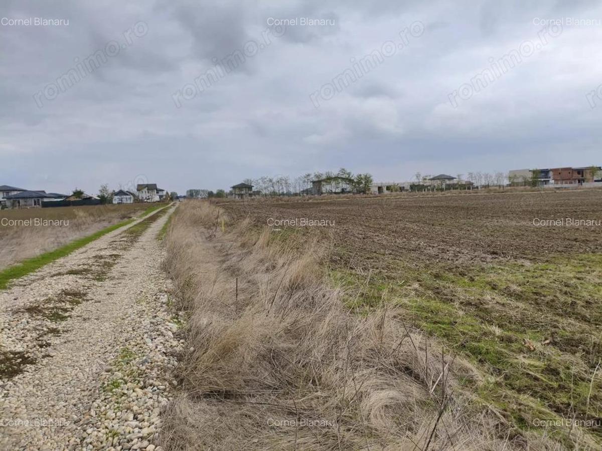 Teren 539 mp, utilitati la lot, rate fara dobanda - Vidra - 4