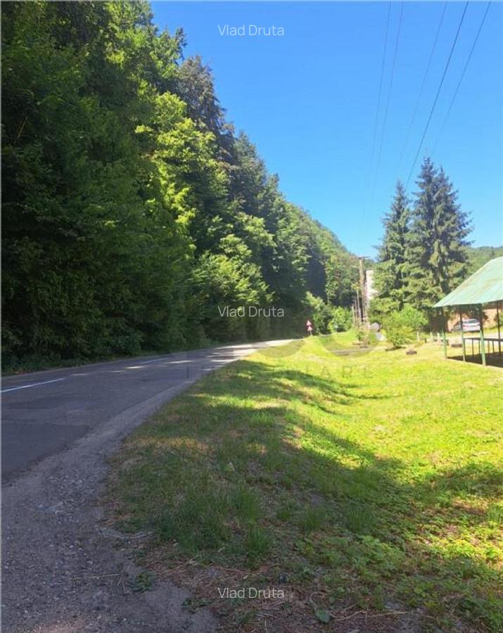 RECO Apartament cu doua camere in Padurea Neagra - 3