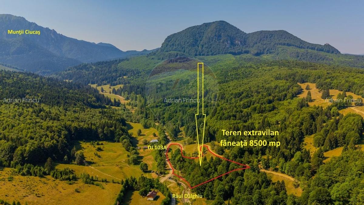 Teren 8500 mp, Valea Dalghiului - Dalghiu - vedere catre Ciucas - 13