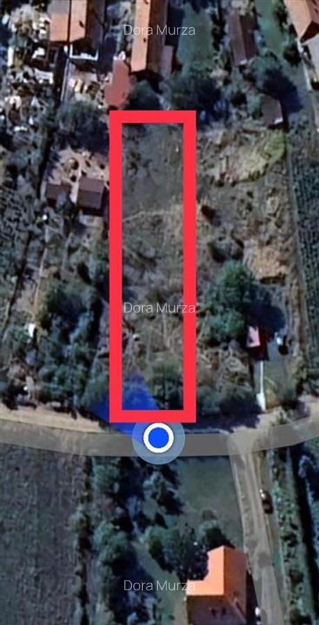 RECO Teren intravilan in  Saldabagiu de munte 985mp - 5