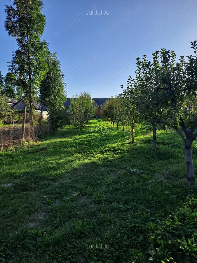 Casa de vanzare la ?ara cu gradina spa?ioasa - 3