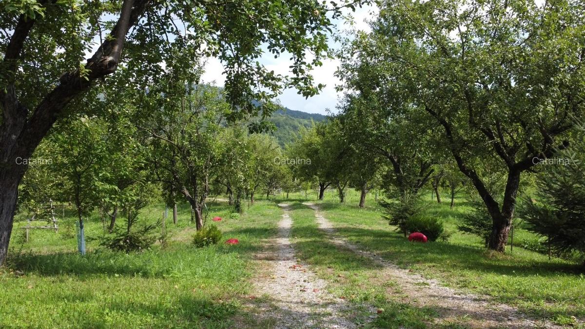 Proprietate unică în Piatra Doamnei – Corbi, Argeș - 2