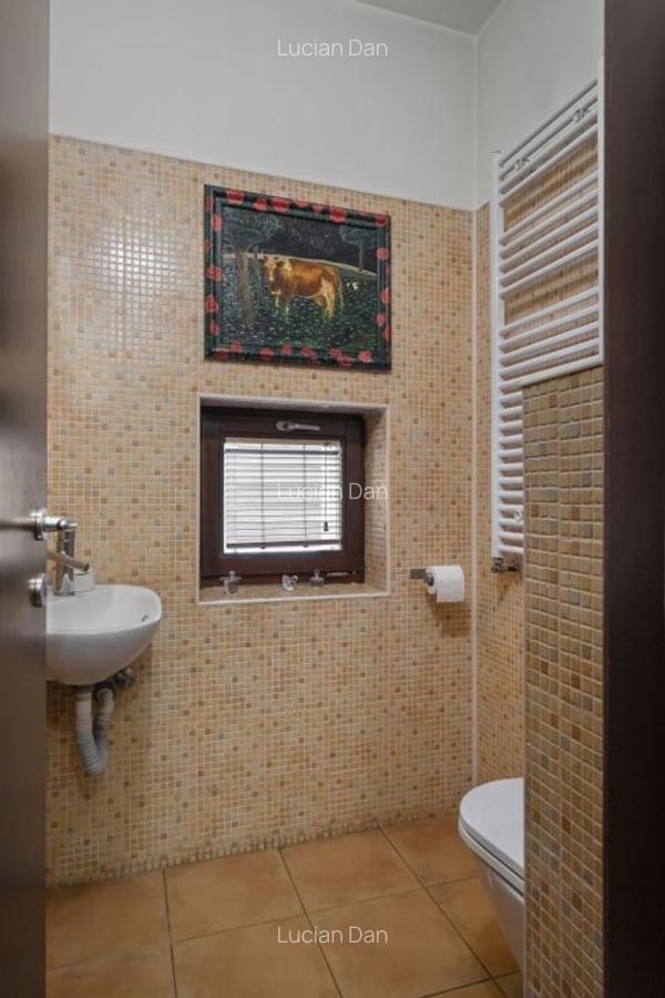 ARTSY LAKEFRONT VILLA | BANEASA - 13