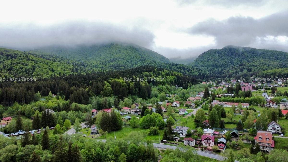 Vila vacanta Cheia - Prahova, pretabila pentru investitie - 40