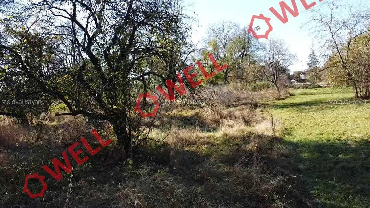 Casă cu 3 camere în Cernat - 7