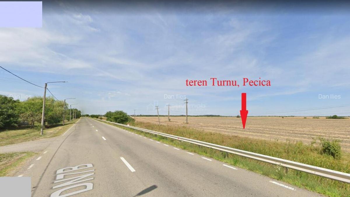 122 ari in Turnu, front 60 m la DN 7B, 15 km de Arad, 1 km d - 6