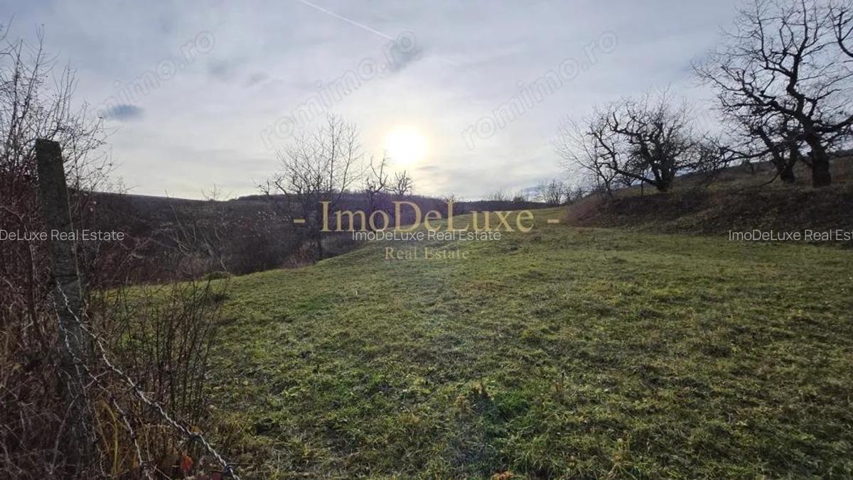 Teren extravilan langa lac, 8500mp, priveliste, acces, utilitati, zona Baciu - 5