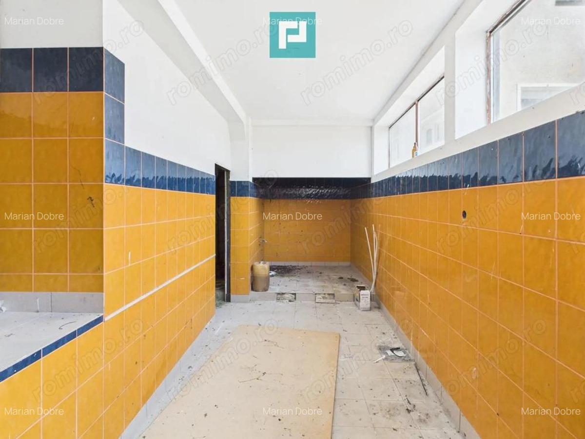 Pensiune in Geoagiu pe malul raului Mure? - 17