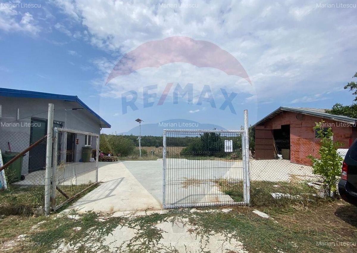 Teren cu hala, Bucsani, Crevedia / DN 61 (A1, A0) 40 Km ... - 1