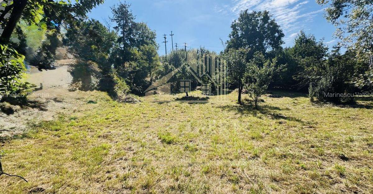 TEREN INTRAVILAN 3234 MP LERE?TI VOINE?TI ARGE? - 6