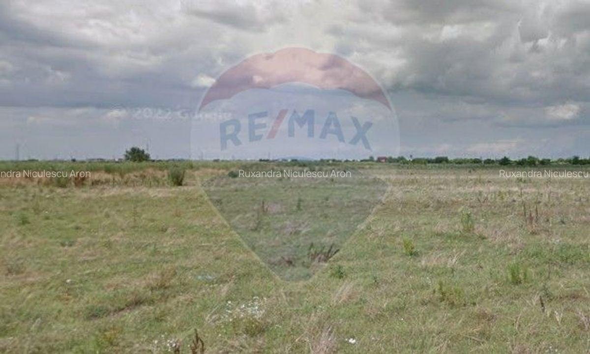 Teren 419mp Magurele / Drumul T32/116, p1, lot 13 - 1