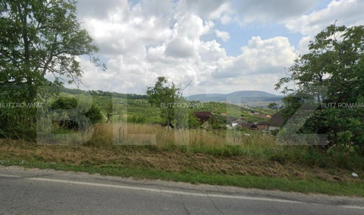 Teren intravilan, 20 de ari in Bistrita, Dealul Targului - 1