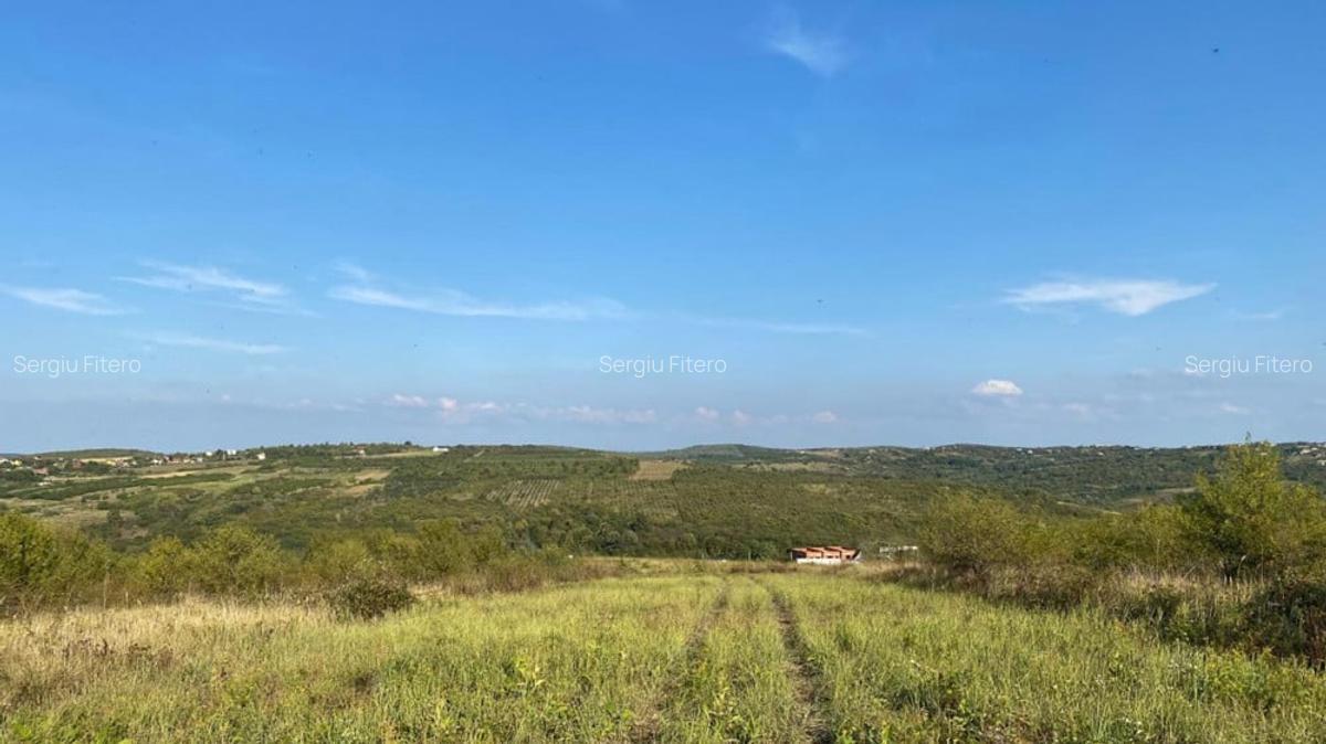 Teren intravilan, Saldabagiul de Munte - 1