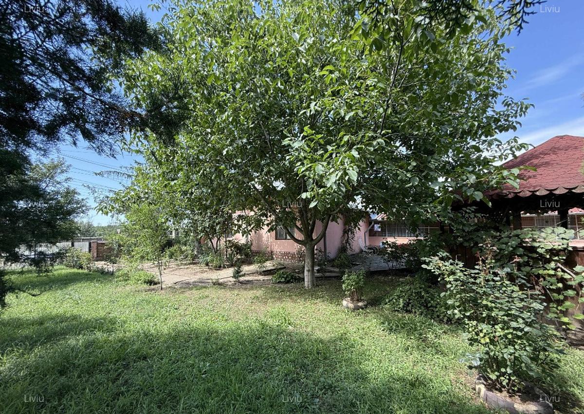 Casa spa?ioasa in Pogoanele, jude?ul Buzau - 13