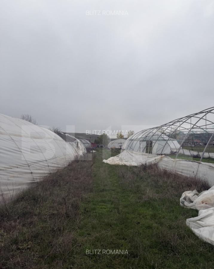 Teren intravilan agricol, sere, anexa agricola, 11500 mp ter - 9