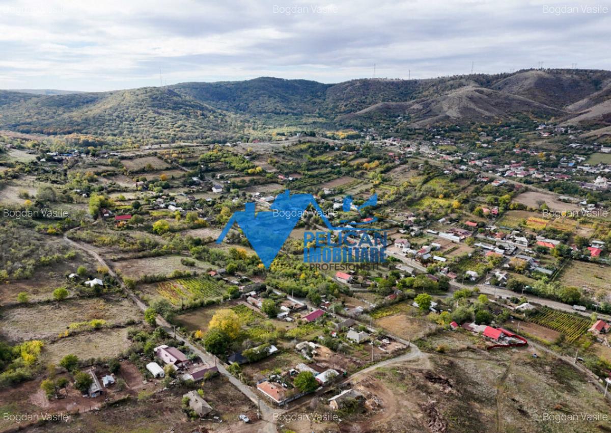 Teren intravilan NICULITEL, zona deosebita, 3044MP - 11