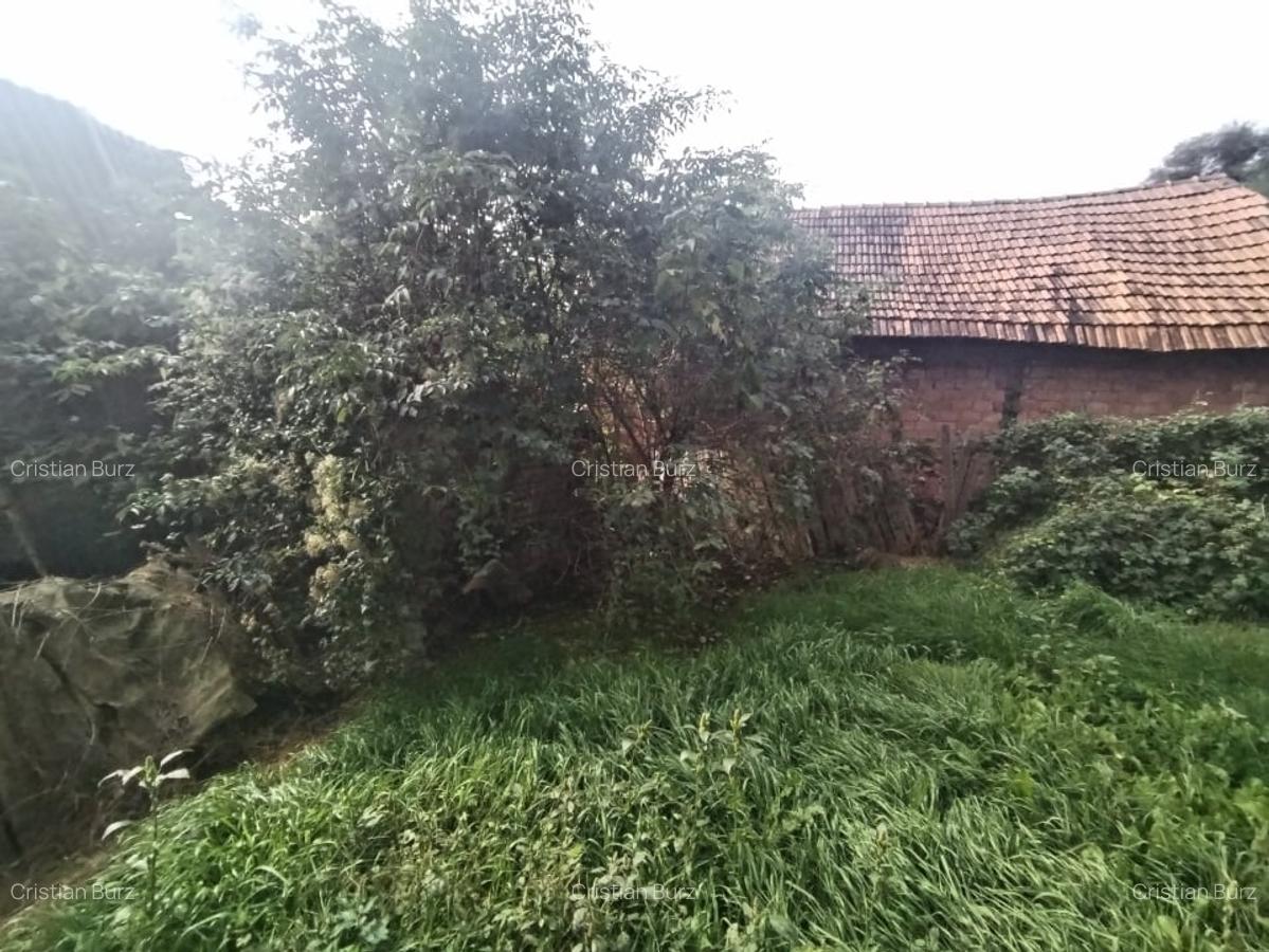 Casa individuala Tauti, teren 650mp - 3 Casa individuala Tauti, teren 650mp - 3