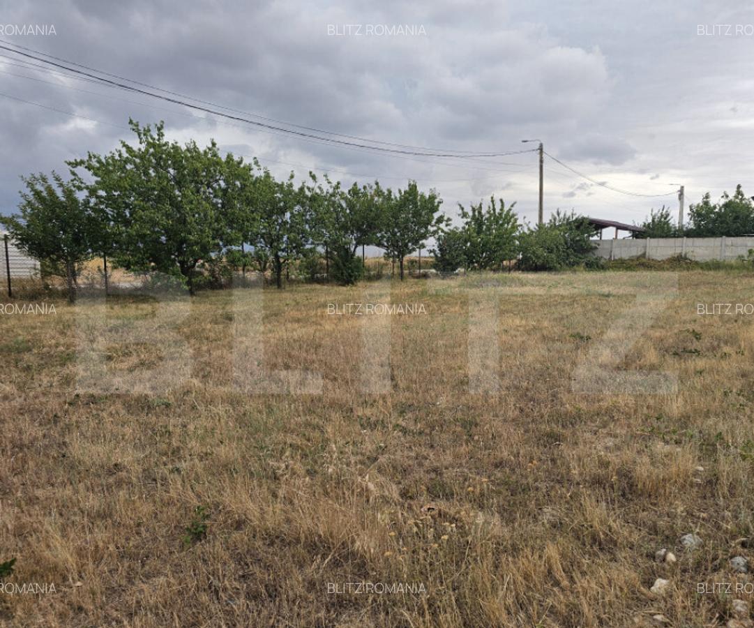 Teren intravilan 762 mp in Carcea - 1